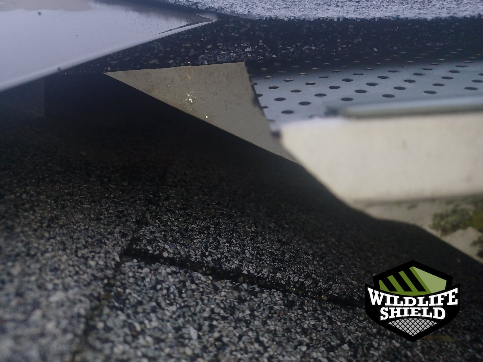 markham-eave-gap_opening-inspection-06