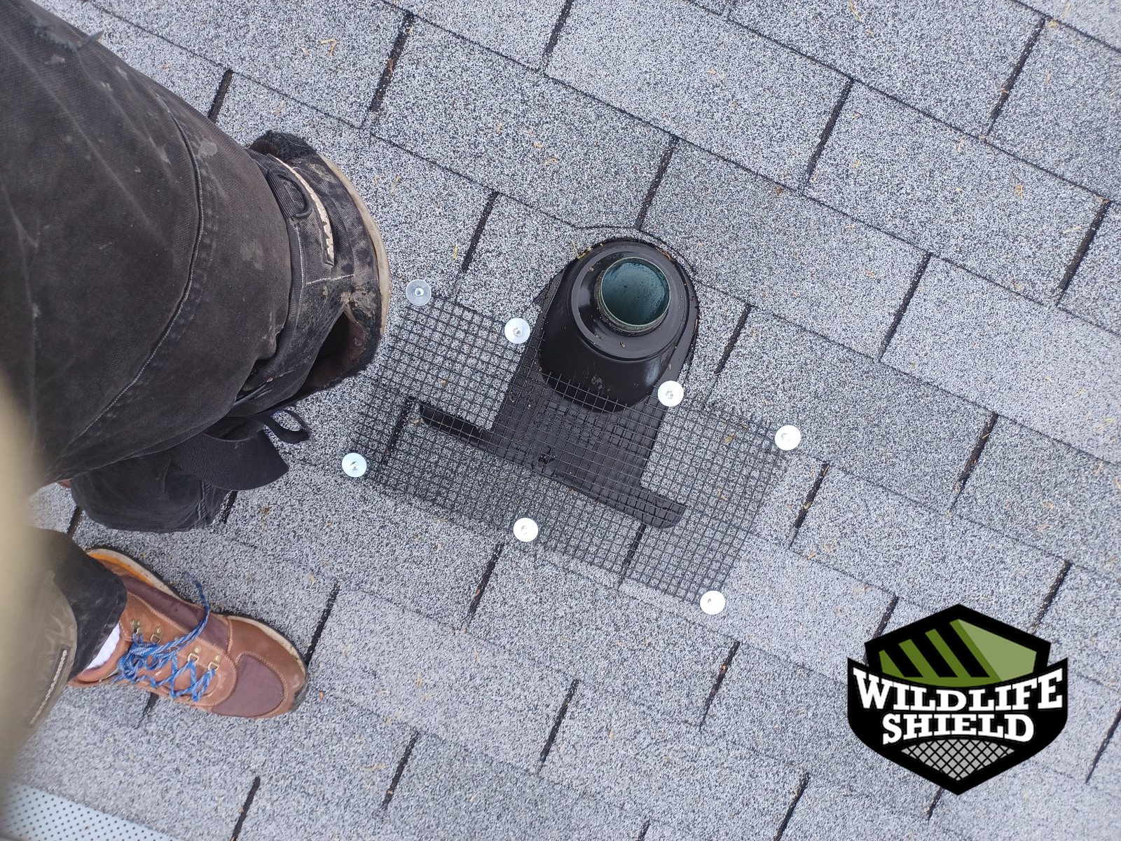 Vent Pipe Protection